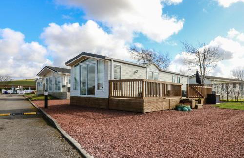 New Horizon - Foto 1