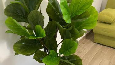 Andrew House - Foto 5