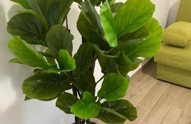 Andrew House - Foto 5