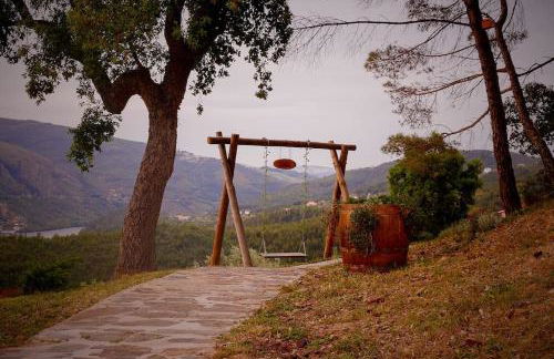 Arrabia Bunga Payva - Foto 19