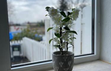 Gemütliches Reihenhaus mit Terrasse - Foto 10