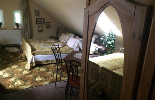 agroturystyka Orzechowe Wzgórze - Foto 62