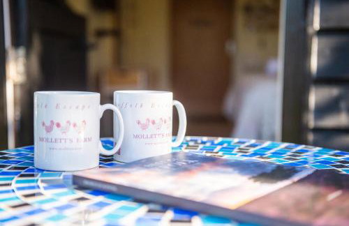 Mollett's Farm - Foto 22