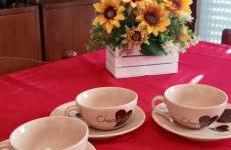 Casa Angela Parma - Foto 16