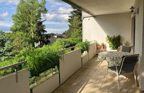 Großzügige Wohnung mit Flair und Aussicht - Foto 13