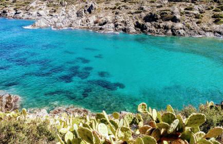 La Tarongina apartament amb piscina - Foto 33