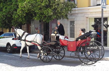 Sherryflat Paralejo 10 - Parking - Foto 30