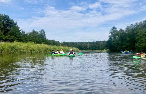 Góra Spokoju Osada klimatyczna-leśna - Foto 19