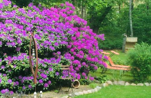 Landhaus Teuteberg - Foto 19