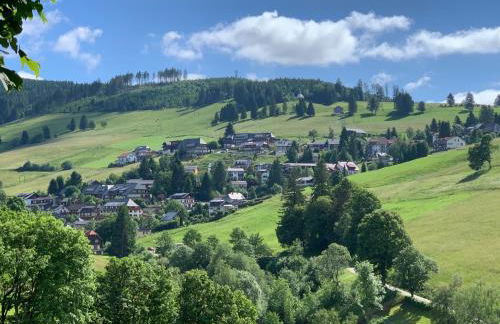 Haus am Sonnenberg,Todtnauberg, Ferienwohnung 105, direkt am Skilift-Skipiste, Nähe Feldberg - Foto 22