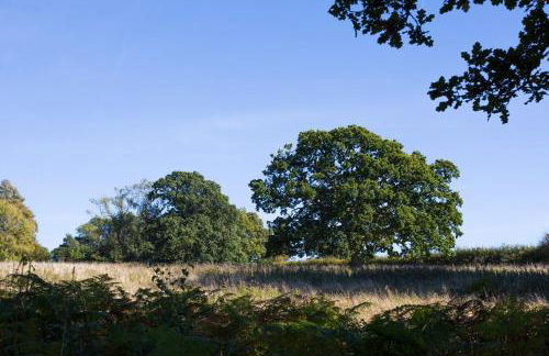 Ravenclaw Hall - Foto 24