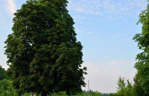 Holiday Farm Situated Next to the Kellerwald-edersee National Park With a Sunbathing Lawn - Foto 97