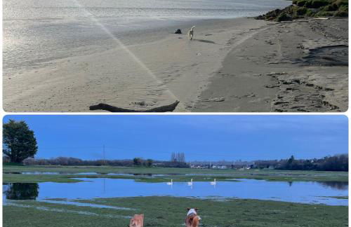 Gîte des Hirondelles n - Foto 35