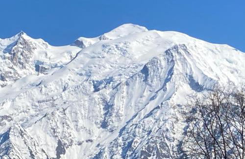 Les Edelweiss Mont-Blanc - Gîte Classé 3 Etoiles - Photo 5
