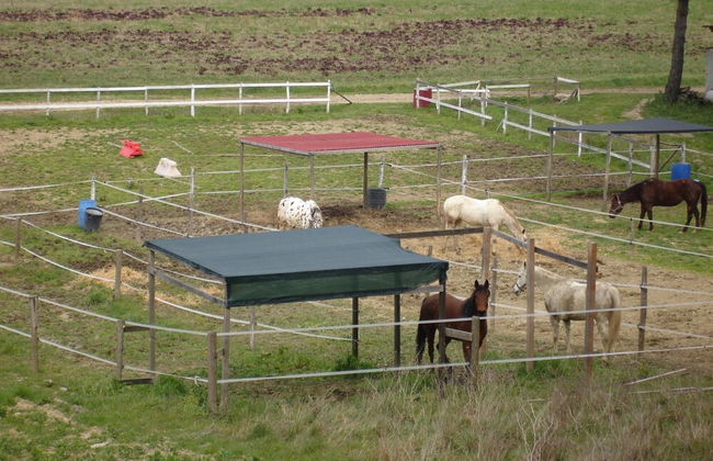 Apartment Between Pisa and Livorno - Foto 30