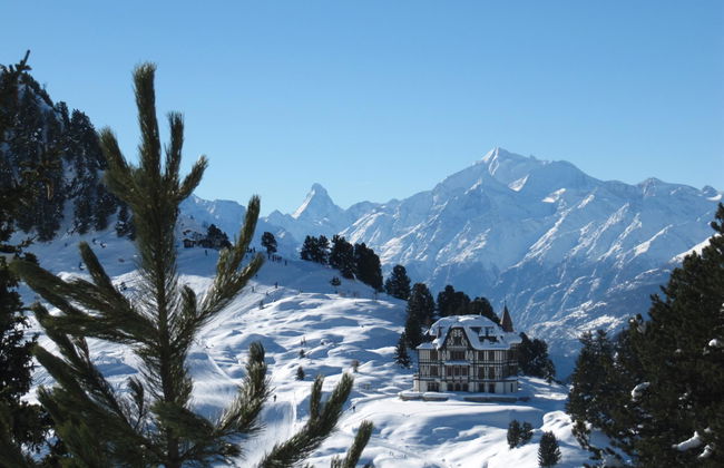 Amici 1. OG West - Foto 30