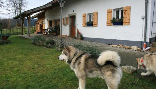 Ferienhaus Winter - Photo 3
