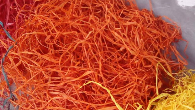 Des fibres de palmier-bâche