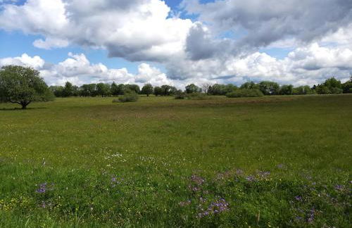 Lichte Wohnung zum Wohlfühlen - Foto 32