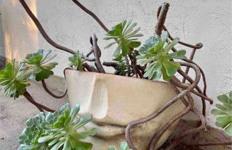 Redwood Place in Heart of Silicon Valley - Photo 37