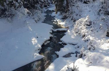 Skalny Zakątek z Grotą Solną na wyłączność - Foto 52