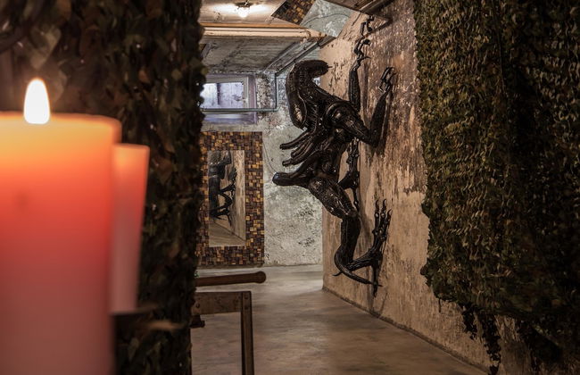 Carli's Base Camp - Photo 78