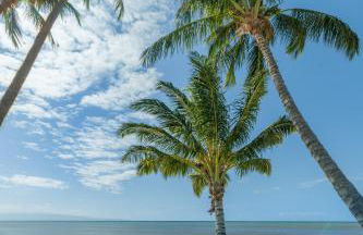 Castle at Moloka'i Shores - Foto 7