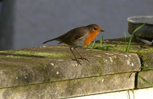 East Hillerton House - Foto 11