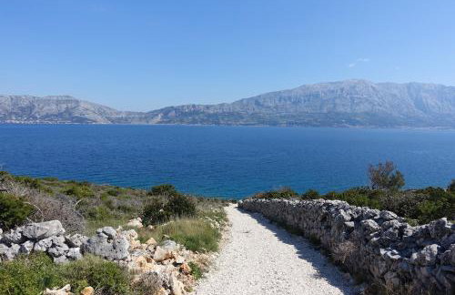 Robinzon Villa Zavala - Photo 50