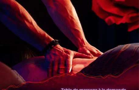 Suite craz'in Love Room, jacuzzi, cinéma, Camargue - Foto 6