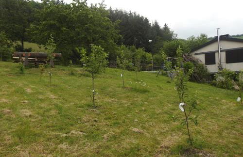 Rusti Deifeld - Foto 29