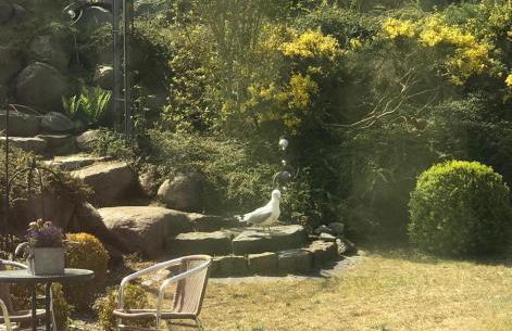 Ferienwohnung Ginster - Foto 27