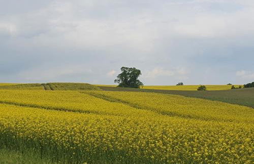 Auszeit am Rosengarten, Zentrumsnah - Foto 12