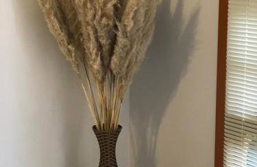 Casa perto do centro vale dos vinhedos, caminhos de pedra - Foto 42