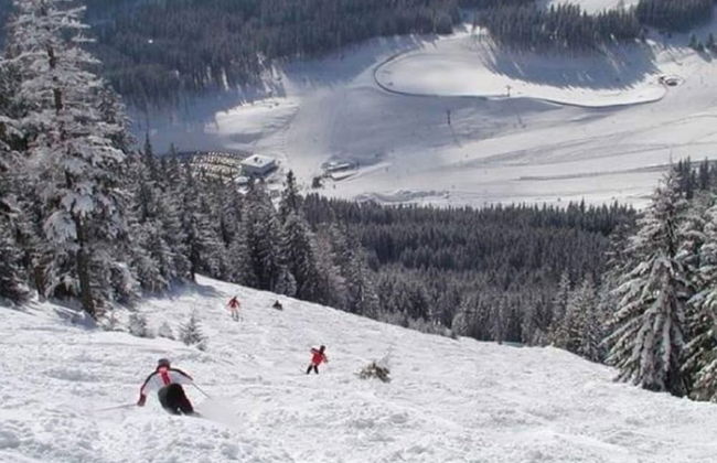 Welcoming Apartment near Forest in Vordenberg - Foto 21