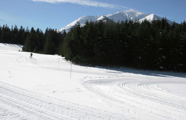 Chalet Hohentauern by Ski Lift - Foto 33