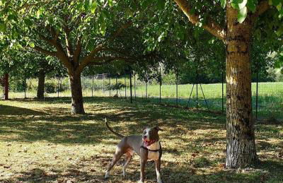 Domus Laetitiae Santa Croce - Foto 28