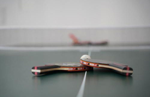 Münsterland Oase - Foto 47