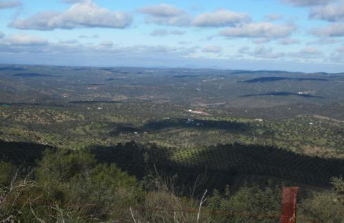 Cortijo "Era Grande 2" - Foto 60