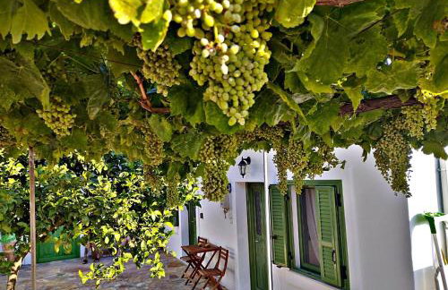 Laurel LK Houses in Kritinia Rhodes - Foto 42