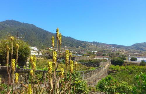 Casita del Medianero - Foto 23