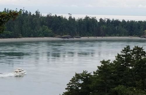 Multi Resorts at Kala Point - Foto 30