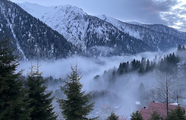 Ayder Dag Evi - Foto 31