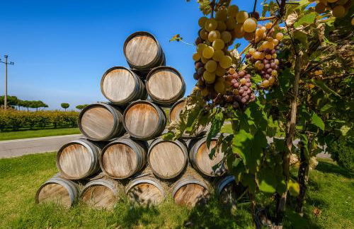 Trere Agriturismo - Foto 64