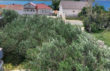 Apartmani Branka - Photo 24