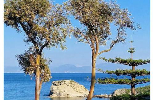 Villa Eden - Foto 31