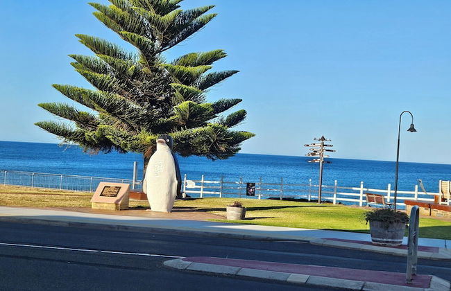 Penguin Retreat - Photo 1