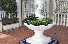 Agata Sea Horse - Foto 25