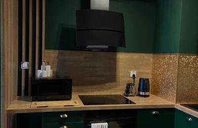 Apartamenty Termalne GREEN Apartment - Foto 54