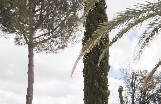 Tenuta De Fanti Agriturismo - Foto 74